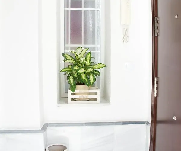 Apartment Centro Historico